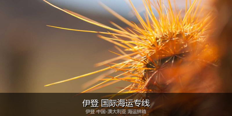 中澳海运跨境电商物流解决方案